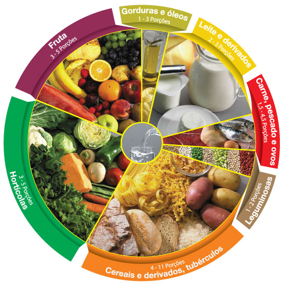 roda dos alimentos